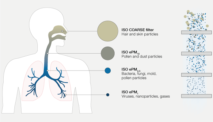 Diagram showing how ISO Coarse, ePM10, ePM2.5 and ePM1 filters capture particles before they reach the lungs